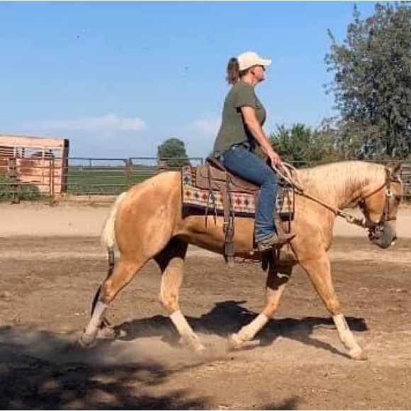 Meet your Posher, Bonnie - Picture 3 of 7